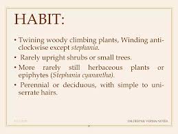 Image result for Stephania cyanantha