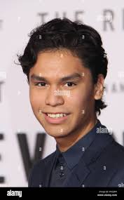 Forrest hi-res stock photography and images