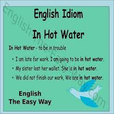 I Am In Wit H My Boss 1 In Hot Water 2 Trouble 3 Both Https Www English The Easy Way Com Idioms Idioms Page1h Idioms Learn English English Idioms