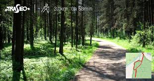 Bór na czerwonem należy do największych atrakcji turystycznych nowego targu. Trasa Nordic Walking Nowy Targ Rezerwat Bor Na Czerwonem Traseo Pl