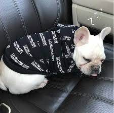 We print the highest quality french bulldog hoodies on the internet. 9 Adorable French Bulldog Hoodies The Best In Style For Your Frenchie Collar And Harness Magazine