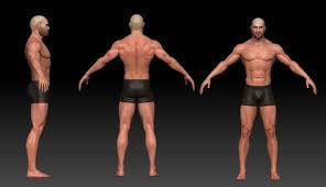Male Body 3d Model Male Body Character Model Sheet Senior Portrait Poses