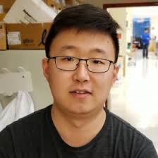 NPF-Funded Research: The Role of a Novel Skin Regulatory T-Cell Population  in Obesity-Promoted Psoriasis