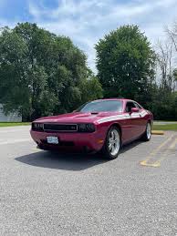 Image result for Furious Fuchsia 2010 Challenger