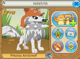 Tell Me Your Animal Jam Username And Maybe You Will End Up In This Folder Jojo Out Animal Jam Animals Character