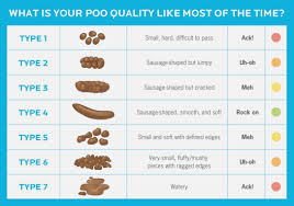 79 Abiding Poop Chart What Does It Mean