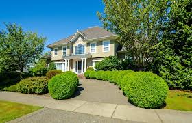 With this video tutorial, you'll learn how to force growth in a desired direction. How To Shape Shrubs Into Art Around Your Home Cedarsmith