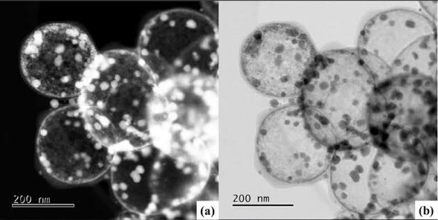 IIT Bombay Engineers a Cobalt-Nickel Catalyst That Could Cut Green Hydrogen's Platinum Problem