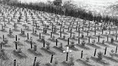 Image result for nazi rassenhygiene