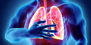 Di amerika serikat, sepertiga kasus pneumonia disebabkan oleh virus. Deretan Penyebab Paru Paru Basah Pahami Cara Pencegahannya Bola Net