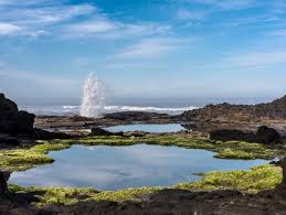 30 Systematic Yachats Tide Tables