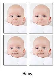 To create a plain background, sit your infant in a baby chair covered with a sheet of the. Passport Photos Derby Belper Baby Passport Photos Indian Visa Canadian Visa Passport Photographs Derby