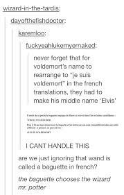 French Harry Potter Obsession Voldemort Harry Potter