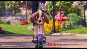 Film berdurasi 91 menit ini mengambil latar di yokohama tahun 1963. The Secret Life Of Pets 2 Shih Tzu 15 Youtube