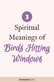 Eagles or owls hitting a window are a representation of freedom, enlightenment, the hope of god, and healing. What Does It Mean When A Bird Hits Your Window Ryan Hart