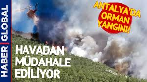Antalya'nın aksu ilçesinde ormanlık alanda çıkan yangın kontrol altına alınmaya çalışılıyor. Antalya Kas Ta Orman Yangini 50 Hektarlik Alan Kul Oldu Youtube