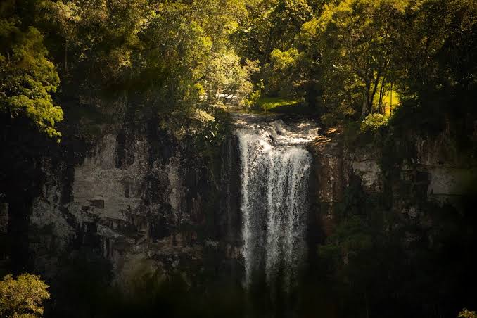 Turismo educativo: Los Parques Provinciales como escenarios pedag�gicos - Turismo Misiones