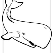 Mais desenhos de animais marinhos para colorir. Desenhos De Baleias Para Imprimir E Colorir