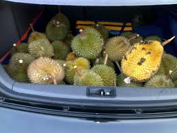 Jadi sebelum nak wangikan kereta seeloknya neutralkan dulu baunya. Bawa Durian Berbakul Bakul Dalam Kereta Pun Tak Tinggalkan Bau 5 Petua Perlu Cuba Keluarga