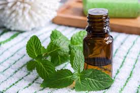 To reap the benefits of peppermint oil to promote hair growth, you can do the following: The Best Essential Oils For Hair Growth Do They Work
