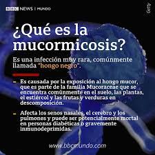 Confirmado en mérida el primer caso de hongo negro. Bbc News Mundo Lo Llaman El Hongo Negro Y En India Es Considerado Una Pesadilla Dentro De La Pandemia De Coronavirus Estas Claves Te Ayudaran A Entender Que Es La Infeccion