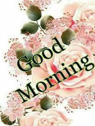 Flower good morning photo pics pictures hd download for whatsaap. Good Morning Flowers Images For Android Apk Download