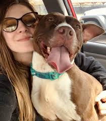 Overcoming Abandonment and Finding Purpose in Animal Rescue