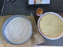 Topfen Obers Torte Mandarinen Bine Kocht Leckere Torten Torten Mandarinen