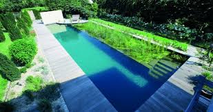 Natur Pools Zinsser Gartengestaltung Schwimmteiche Und Swimmingpools Diy Schwimmbad Schwimmbad Designs Schwimmbader Hinterhof