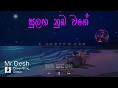 We did not find results for: 29 Chamara Ideas In 2021 New Whatsapp Video Download Song Status Wwe Superstar Roman Reigns