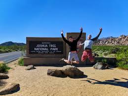 Joshua Tree day trip: exploring a truly unusual National Park - 2 ...