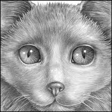Maybe you would like to learn more about one of these? Drawing The Furry Fluffy And Feathered Dummies