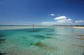Rye Accommodation Mornington Peninsula Holiday Shacks Victoria Australia Places To Visit Favorite Places