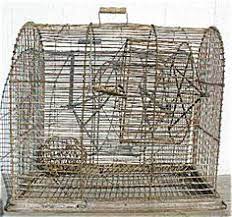 5 out of 5 stars. 30 Squirrel Cages Ideas Squirrel Cage Cage Squirrel