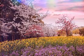 琴聖奧菲斯-羅馬神話｜地獄尋妻記, 有種愛願意為你下地獄