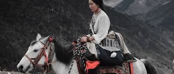 نتیجه جستجوی لغت [nomadic] در گوگل