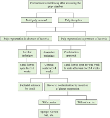 Animal Models In Dental Research Springerlink