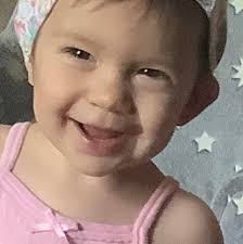 How to fix black water tank flush issue in a 2011 Monaco motorhome?