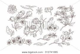 Check spelling or type a new query. Bundle Elegant Vector Photo Free Trial Bigstock