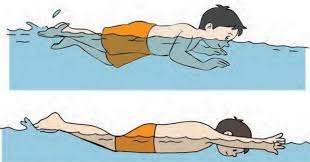 Check spelling or type a new query. Materi Renang Gaya Bebas Kupu Kupu Dada Dan Gaya Punggung Kurikulum 2013 Revisi