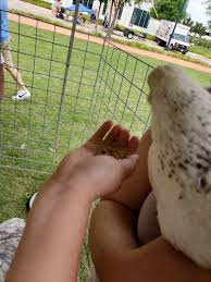 Maybe you would like to learn more about one of these? Oba Farms Mobile Petting Zoo Dallas Texas Mobile Petting Zoo Party Dallas Tx Farm Animal Petting Zoo Dallas Fort Worth Texas Farm Animals