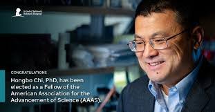 Suzette Stone's Instagram, Twitter & Facebook