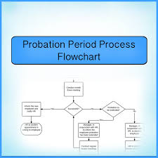 Probation Period Process Flowchart Print What Matters