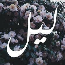 لَيْل • (layl) m (usually uncountable). Ù…Ø¹Ù†Ù‰ Ø§Ø³Ù…Ø§Ø¡ ØªÙˆØ§Ø¦Ù… Ù„ÙŠÙ„ ÙˆÙ„ÙŠØ§Ù„