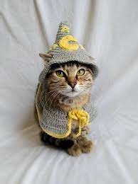 Wizard Costume For Cat Wizard Hat For Cat Wizard Pet Costume In 2021 Hat For Cat Pet Costumes Cat Costumes