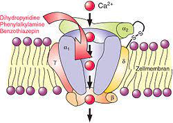 Mar 01, 2010 · what is the safest way to stop taking the calcium channel blocker, diltiazem 180 mg er? Calcium Channel Blocker Wikipedia