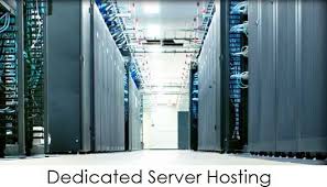 Http Www Dedicatedzone Com Dedicated Zone Provides Local National And International Businesses With Relia Web Hosting Services Hosting Services Web Hosting