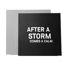 amazon com cotodama lyric speaker canvas home audio theater lyrics canvas speaker