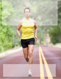 PLAN ANUAL TRIMESTRALIZADO