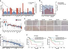 Semantic scholar profile for s. Upregulation Of Igf2r Evades Lysosomal Dysfunction Induced Apoptosis Of Cervical Cancer Cells Via Transport Of Cathepsins Cell Death Disease